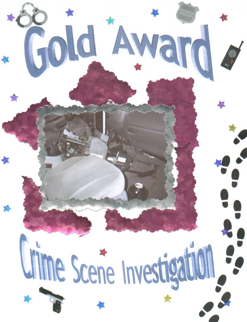 goldawardtitlepage.jpg